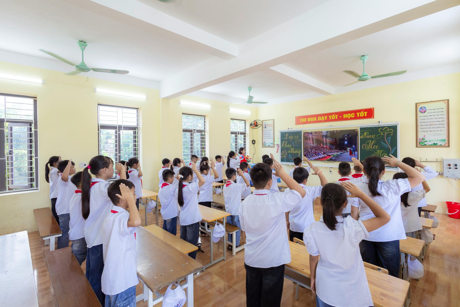 School